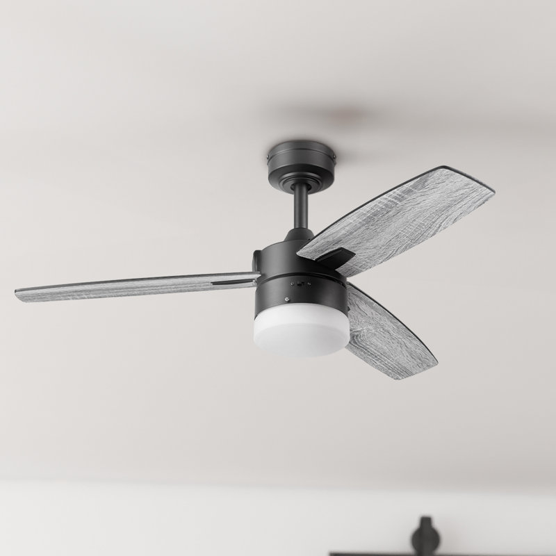 Conifer 42"  Outdoor Contemporary Ceiling Fan with Light, Remote Control, Three Dual Finish Blade