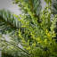 72'' in. Faux Fir Garland