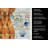 Vizsla Coastal Sea Glass Kitchen Towel-871464095
