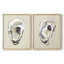 Oyster Shell Study III-Premium Framed Print -Ready to Hang - No Nails Required - No Nails Required-1321730017-1321730031