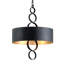 4 - Light Unique/Statement Drum Pendant