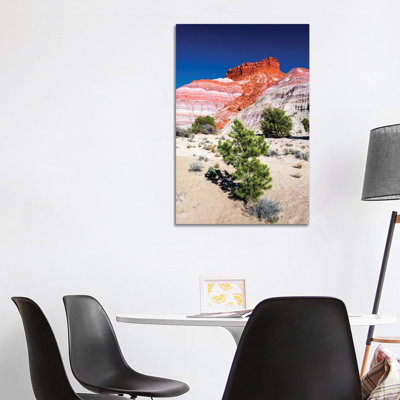 Evening light on the Cockscomb, Grand Staircase-Escalante National Monument, Utah, USA 1 Piece Wrapped Canvas Wall Art
