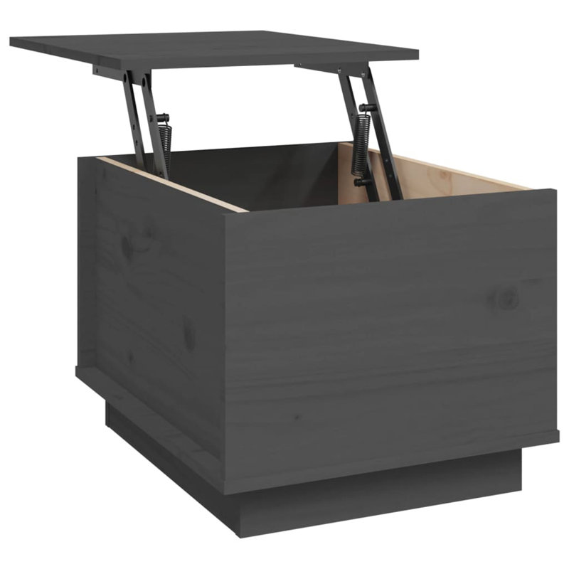 Zendaya Solid Wood Lift Top Solid Coffee Table with Storage, Grey