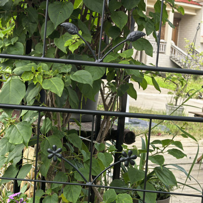 Paquet de 2 treillis d'extérieur en métal pour une utilisation intérieure / extérieure, 20 po x 71 po, galvanisé et antirouille, plantes de jardin idéales Ivy Morning Glory