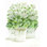 " White Geraniums I "