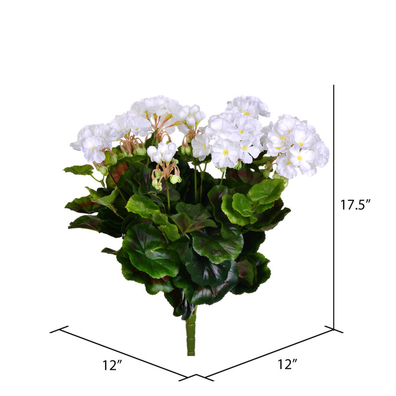 Géranium