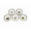Mini assiette / bol Portmeirion Botanic Garden 5 "6 oz