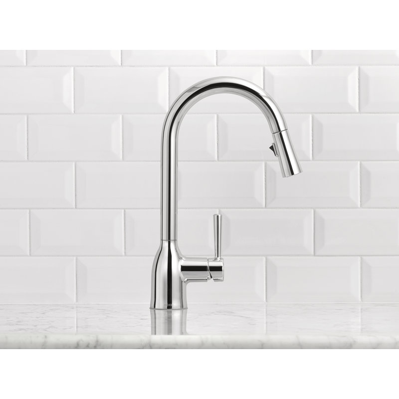 Adler Pull Down Single Handle Kitchen Faucet with Accessories, Chrome
