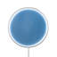 Paletta LED Armed Sconce