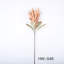 Protea Cynaroides, arrangement floral, longue tige-799844322