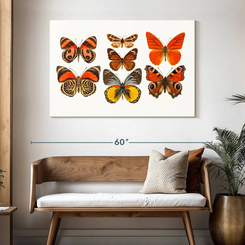 Collection Brampt de papillons oranges, H 32 po x l 48 po