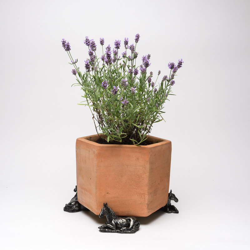 Kiki Weather Resistant Planter Feet