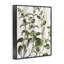 Art rustique de vignes botaniques par Kim Allen bg-221-103003199-103003196