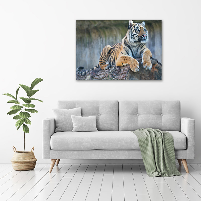 Tiger - No Frame Print on Glass