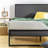 Christina Upholstered Platform Bed-61070177