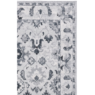 Odyssey Performance Oriental Rug