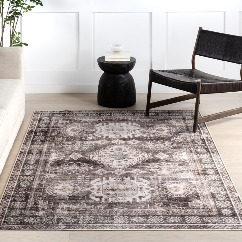  Evelina Traditional SplashGuard Machine Washable Area Rug, Rectangle 5' x 8'