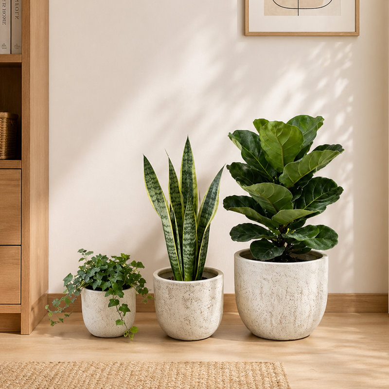 Ensemble de 3 pots à fleurs avec trous de drainage pour jardin