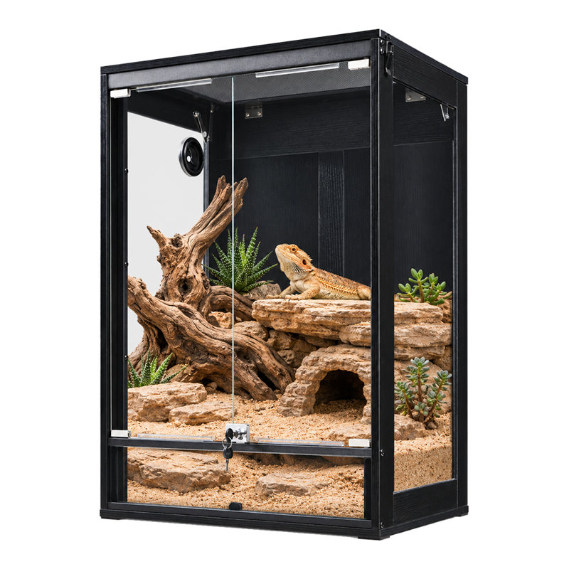 Reptile Tank