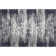 Premium Machine Washable Prisco Black Rug
