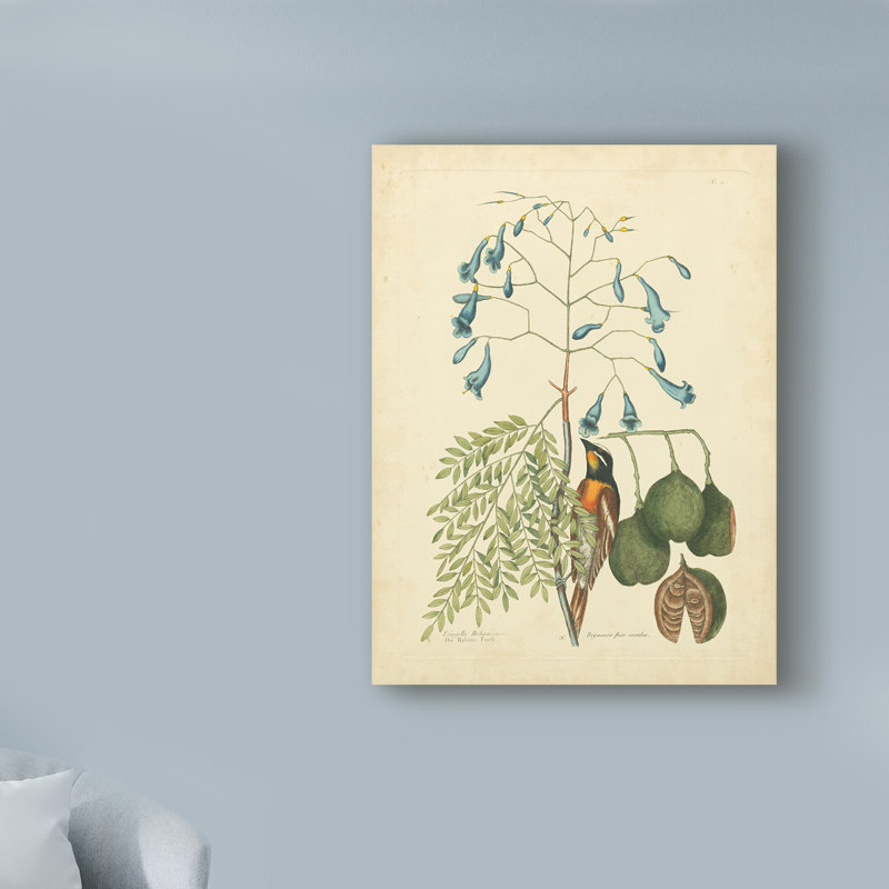 «Bird and Botanical II», reproduction d'impression sur toile tendue, H 19 po x l 14 po x P 2 po