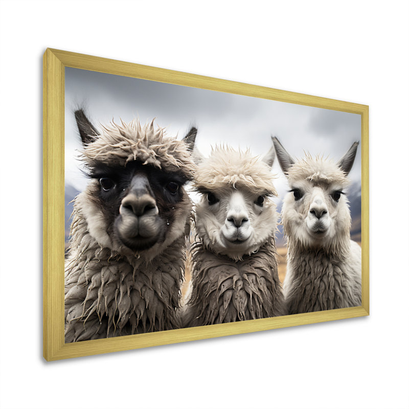 Alpacas, photographie de paysage monochrome encadrée sur toile, H 12 po x l 20 po x P 1 po, Encadrement doré