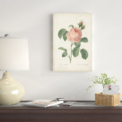 Roses rétro Redoute IV