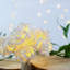 String Lights