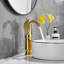 Bathroom Faucet-89098787