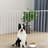 Allveta 5 Panel Steel Fireplace Screen-892408942-892408929