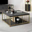 Aliona Coffee Table-355357021