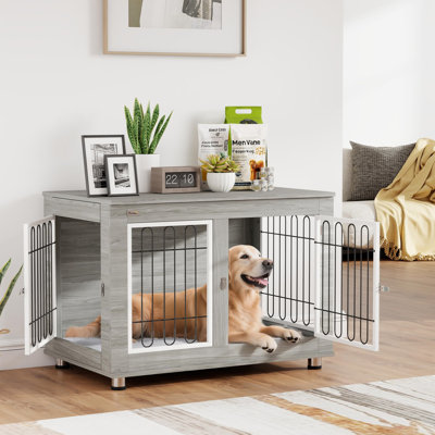 Dog House