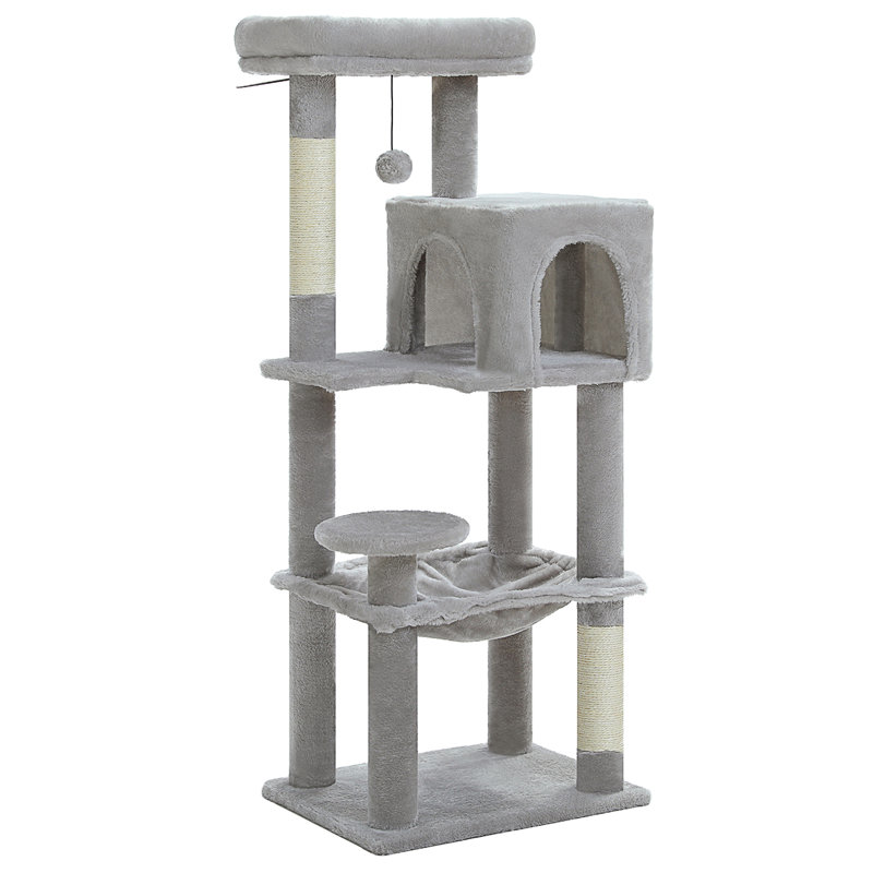 Arbre à chat, Gris