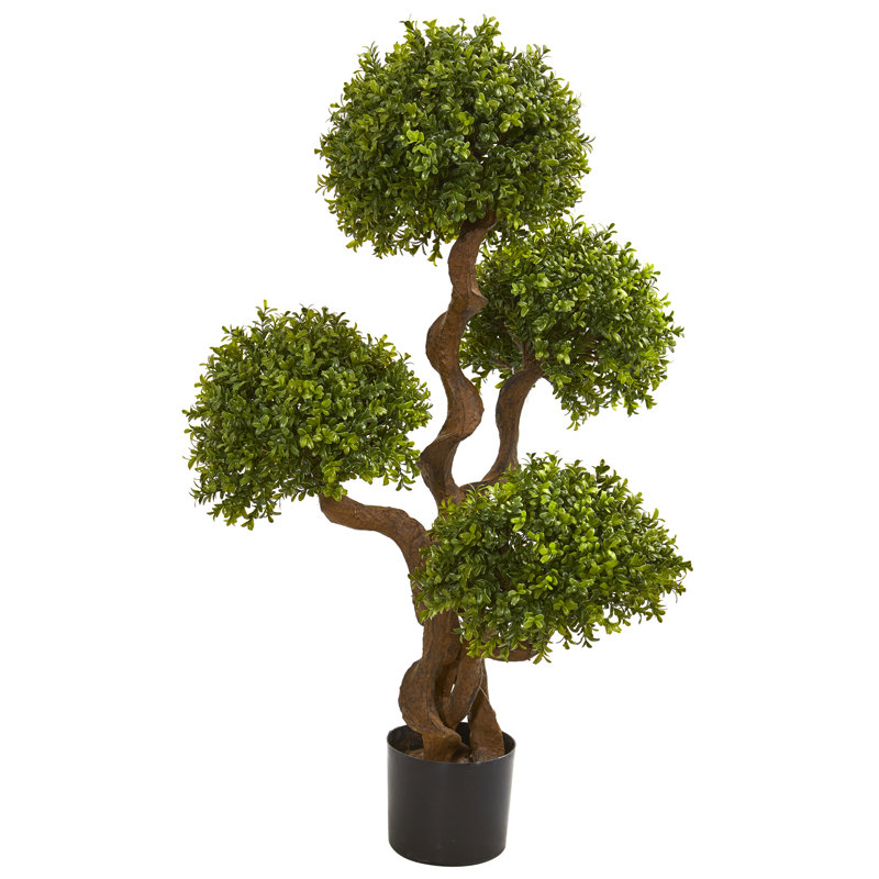 Madie 42'' Faux Boxwood Topiary in Pot
