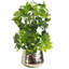 Handmade Metal Cachepot