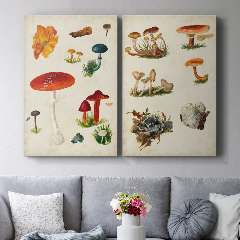 Toile tendue avec champignon Mushroom Species VIII-Premium - Prêt à être accroché, H 27 po x l 36 po