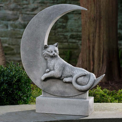 Chat sur la lune