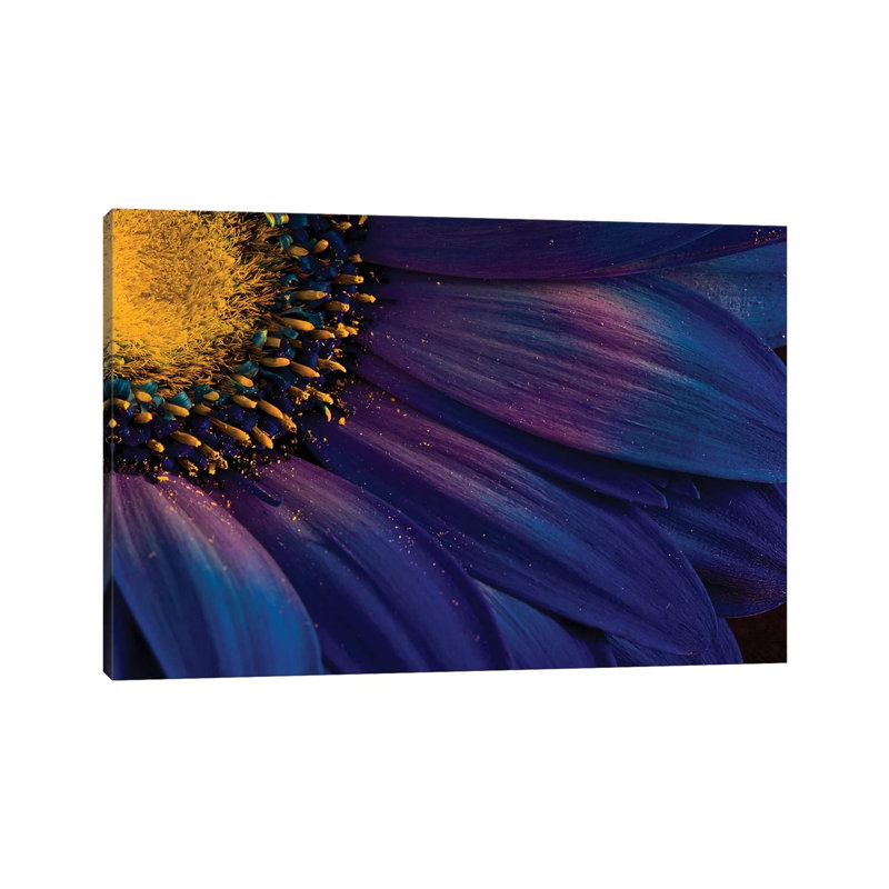 Blue Rays by Torsteinn H. Ingibergsson - Wrapped Canvas Print