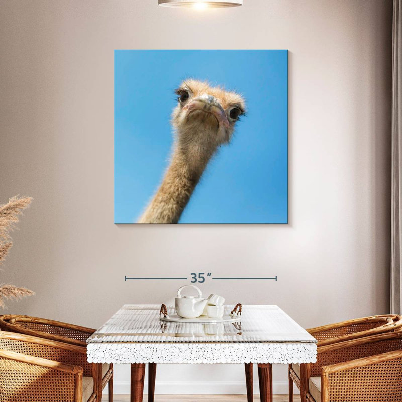 Crowle Curious Ostrich, 39" H x 39" W
