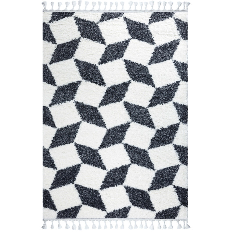 Tapis à poils longs Maelina, Rectangle 1 pi 8 po x 2 pi 8 po