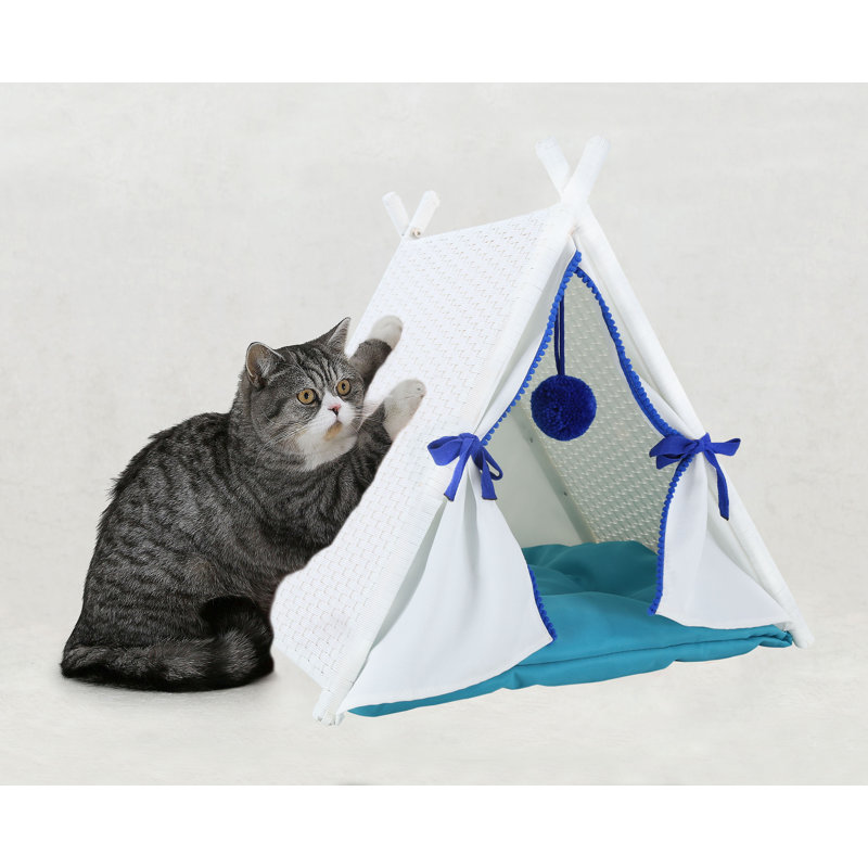 Maison de chat d'extérieur en osier Helgeson, Blanc / bleu