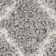 Schmit Geometric Indoor Rug