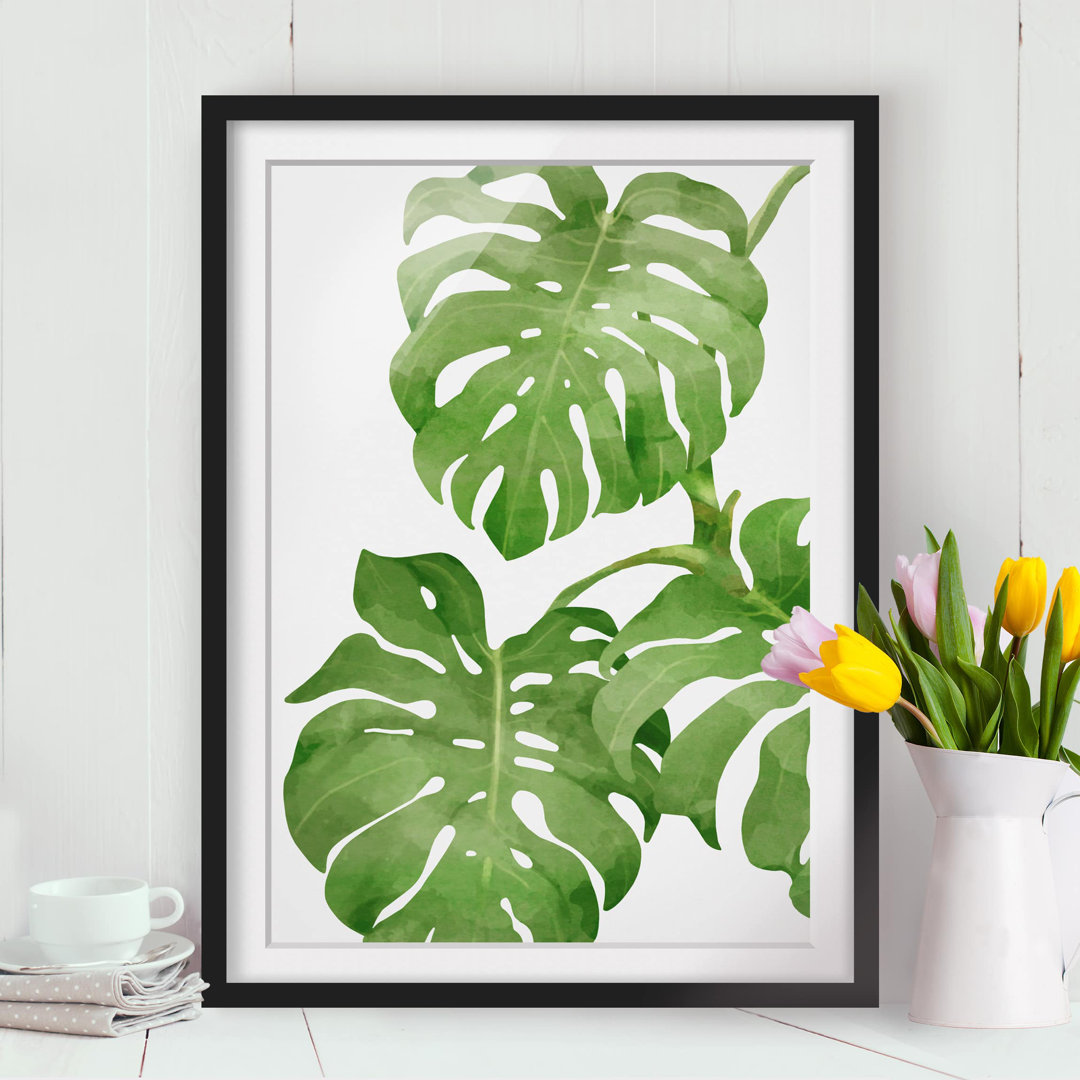 Gerahmtes Poster Monstera Watercolour