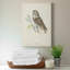 Petite chouette - impression sur toile tendue-1669904249