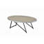 Allis Metal Finish Coffee Table