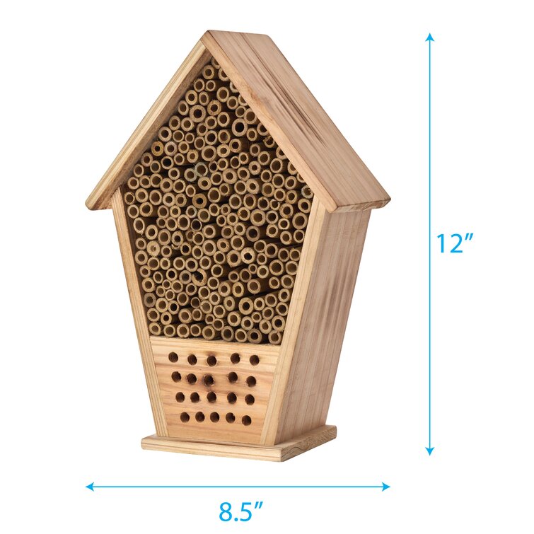 Homestead Essentials 12 in x 12 in x 4 in Insect House 