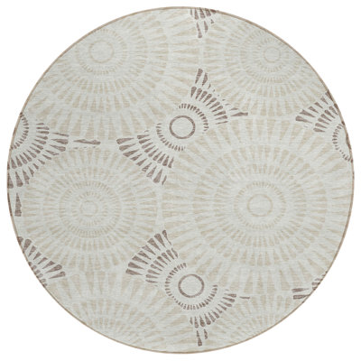  Corrisa Area Rug