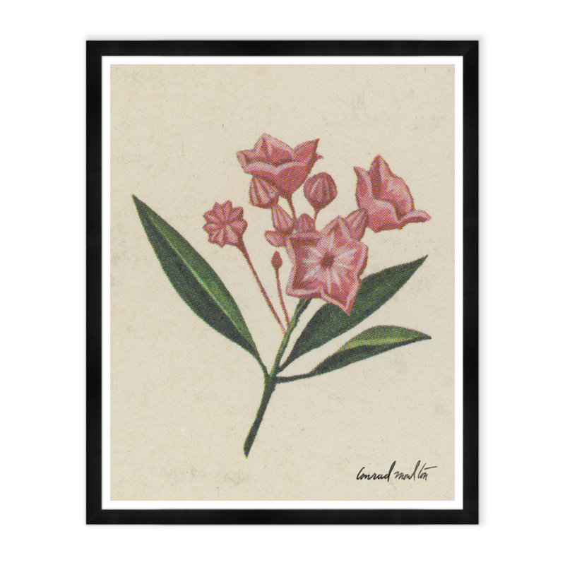 Moulton Collection " Pink Petals "