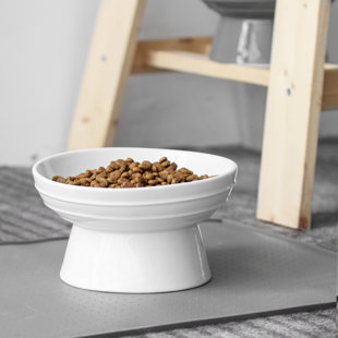 Buy Ergonomic Cat Feeding Bowls @ $22.99 - FREE SHIPPING