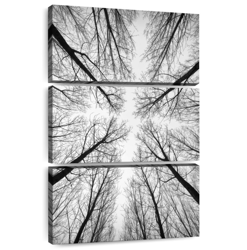 Arbres nus Harnek, H 32 po x l 20 po